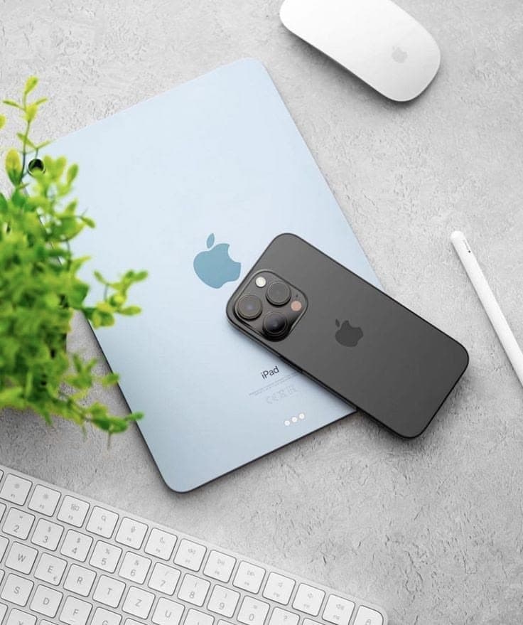 A pale blue iPad and an iPhone beside a keyboard and a plant